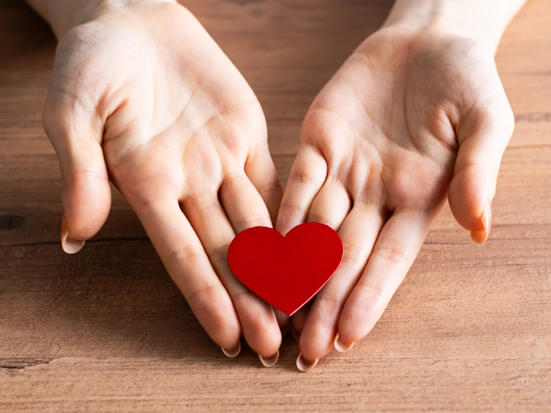 個人向け保険サービス