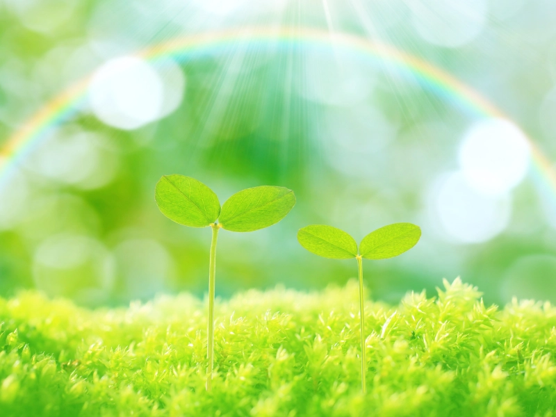 サステナビリティ