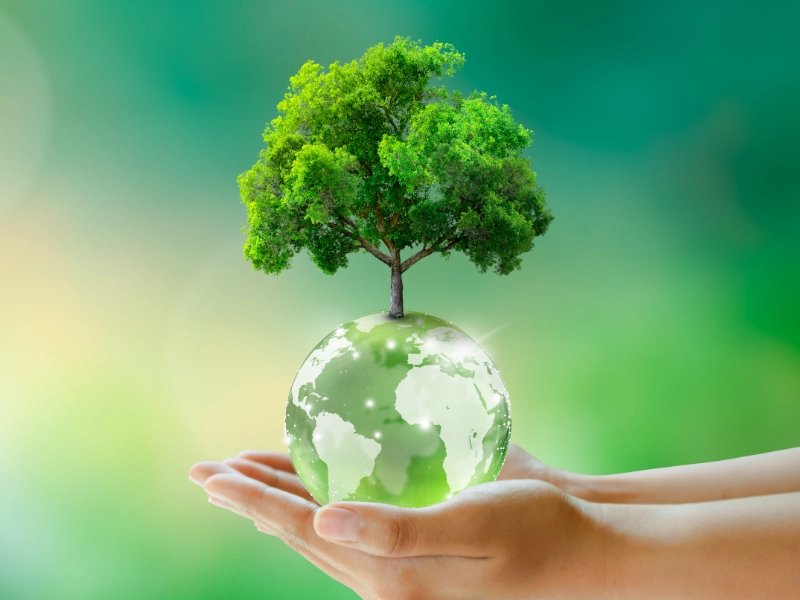 環境への取り組み